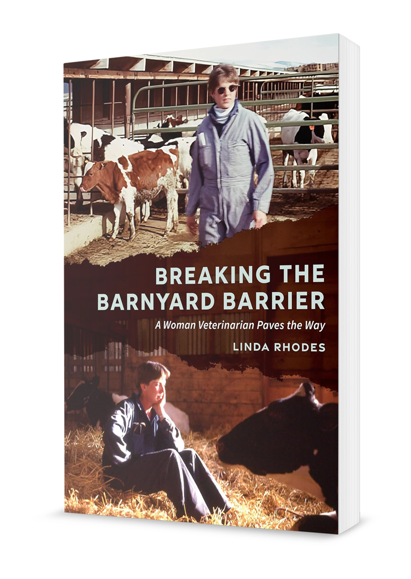 rhodes-breaking-3D (1) rhodes-breaking-3D (1)